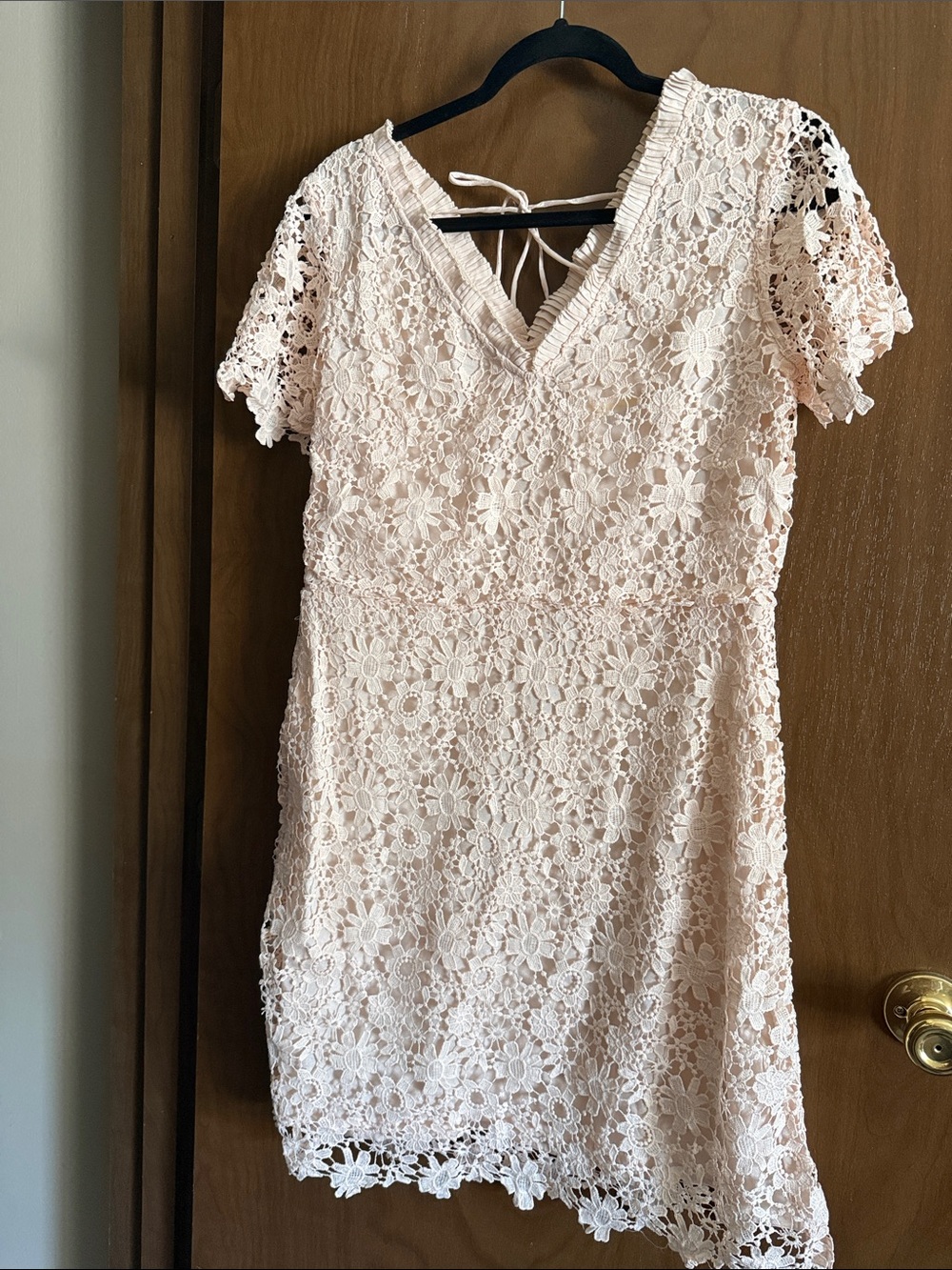 Floral Lace V-Neck Short Sleeve Dress in Blush